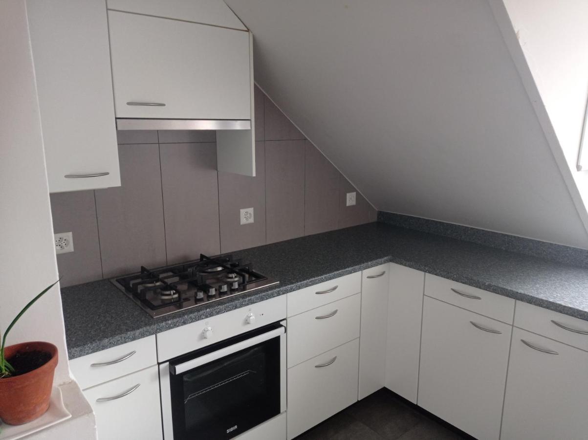 Gemuetliche Dachwohnung เซนต์กาลเลิน ภายนอก รูปภาพ